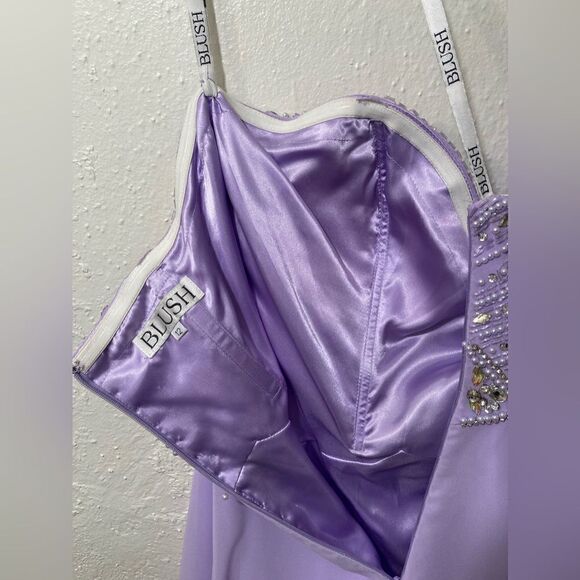 Blush Lavender Sweetheart Neckline Embellished Gown - Picture 7 of 16